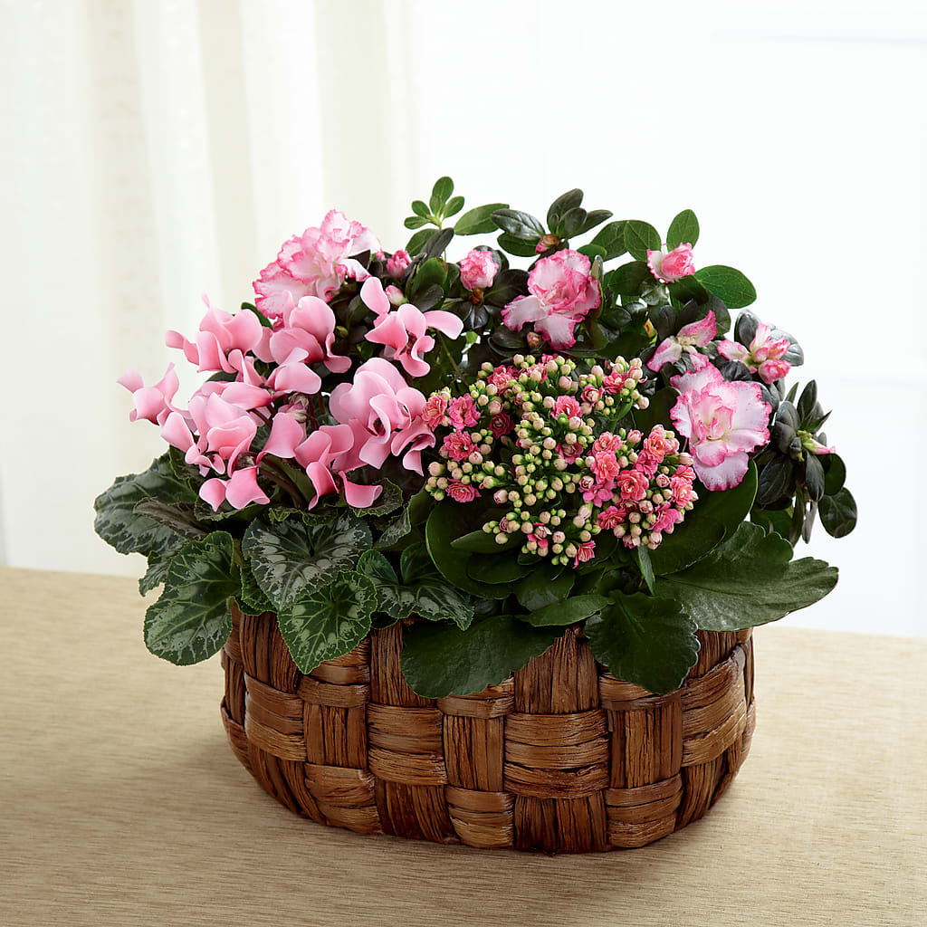 Pink Assortment – Towne Florist, Lumberton NC