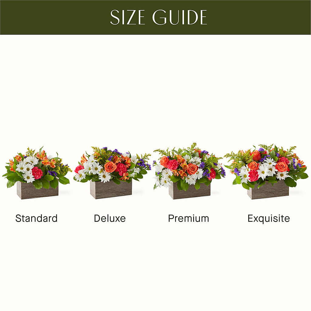 Oopsie Daisy Box Bouquet – Towne Florist, Lumberton NC