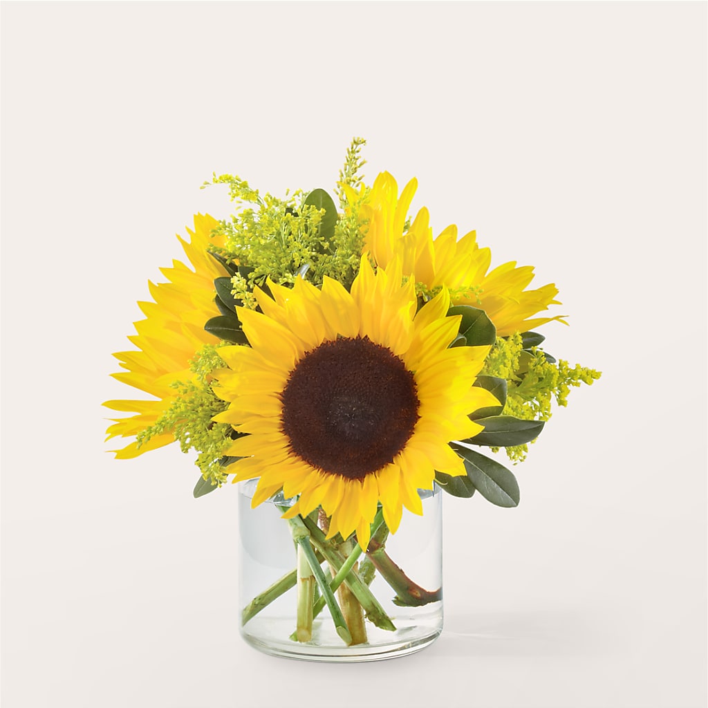 Beaming Sunflower Bouquet – Towne Florist, Lumberton NC