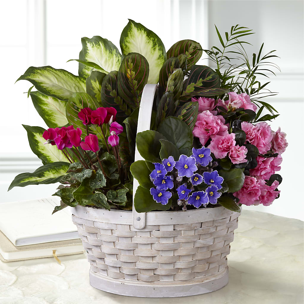 Peaceful Garden Planter – Towne Florist, Lumberton NC