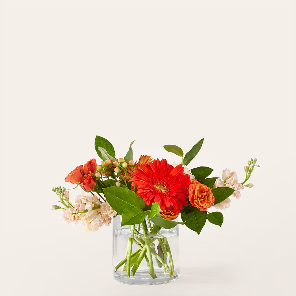 Paloma Please Bouquet – Towne Florist, Lumberton NC