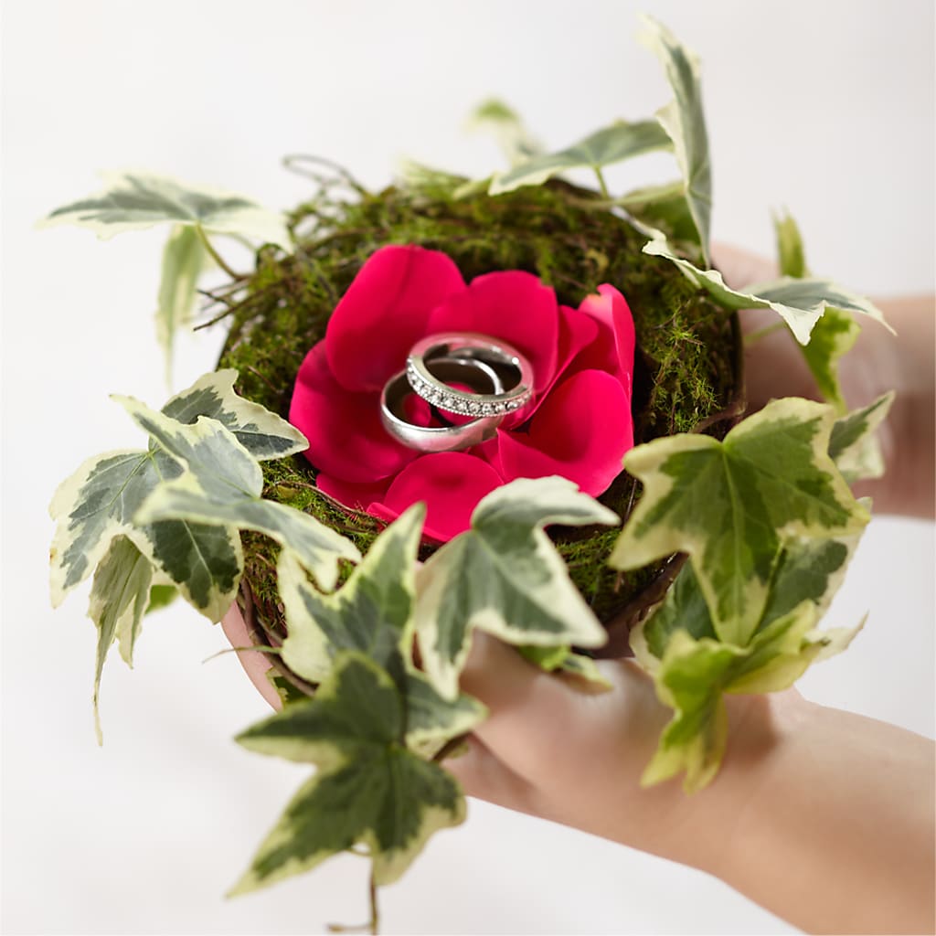 Lila Rose Ring Nest – Towne Florist, Lumberton NC
