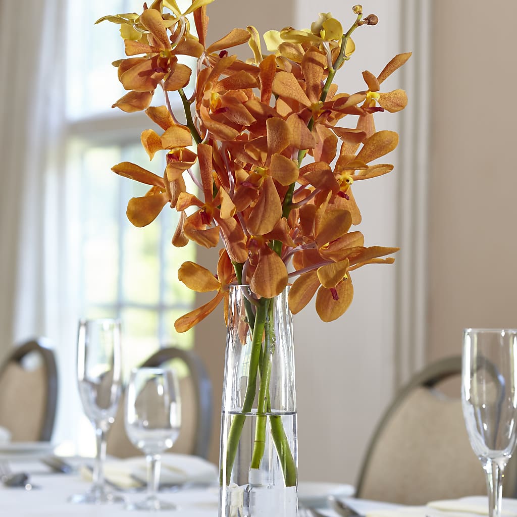 Orange Mokara Bud Vase – Towne Florist, Lumberton NC