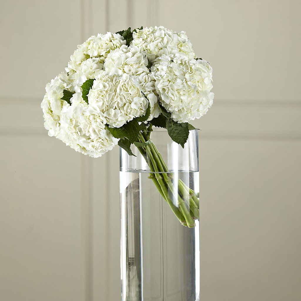 White Hydrangea Hand-Tied Bouquet – Towne Florist, Lumberton NC