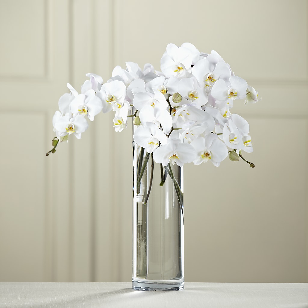 White Phalaenopsis Bouquet – Towne Florist, Lumberton NC