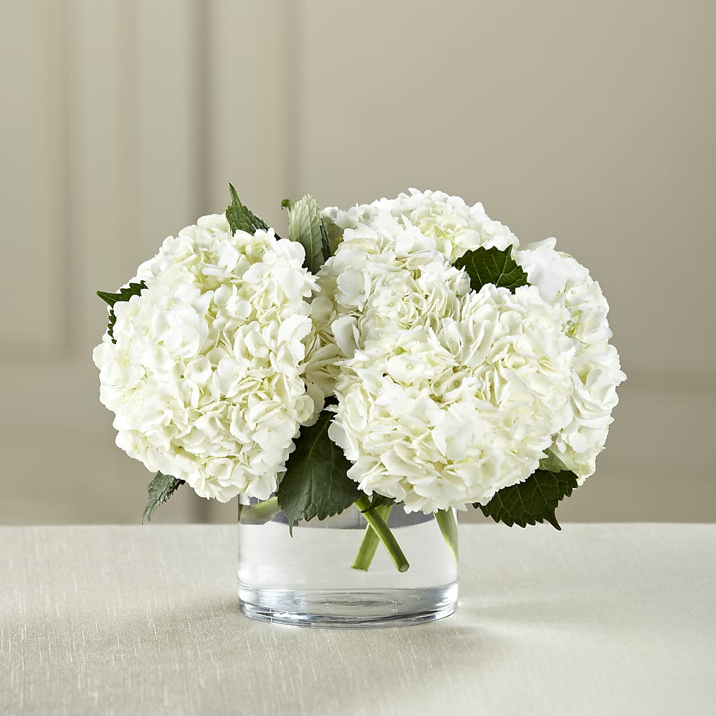 White Hydrangea Bouquet – Towne Florist, Lumberton NC