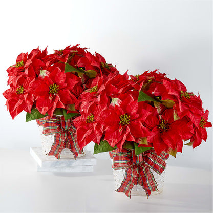 Happiest Holidays Poinsettia Bundle –  Towne Florist, Lumberton NC