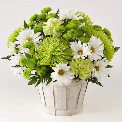Lucky Charm Basket (Standard) –  Towne Florist, Lumberton NC