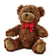 Adorable Plush Bear –  Towne Florist, Lumberton NC