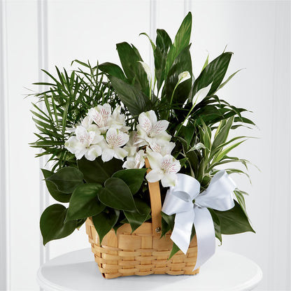 Peace & Serenity Dishgarden –  Towne Florist, Lumberton NC