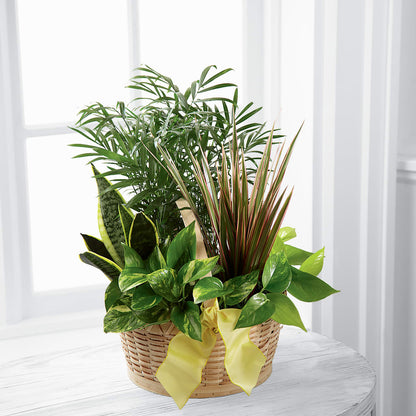 French Garden –  Towne Florist, Lumberton NC