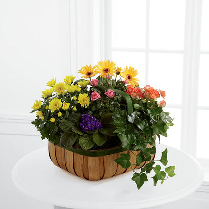 Gentle Blossoms Basket –  Towne Florist, Lumberton NC