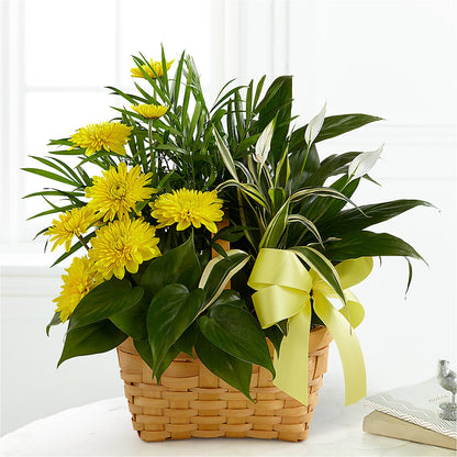 Loving Light Dishgarden –  Towne Florist, Lumberton NC
