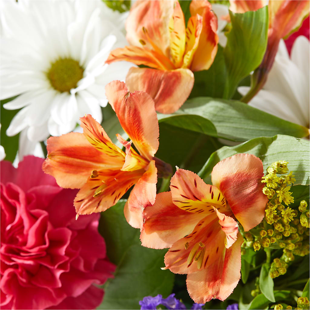 Oopsie Daisy Box Bouquet –  Towne Florist, Lumberton NC