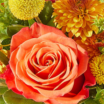 Gourdgeous Pumpkin –  Towne Florist, Lumberton NC