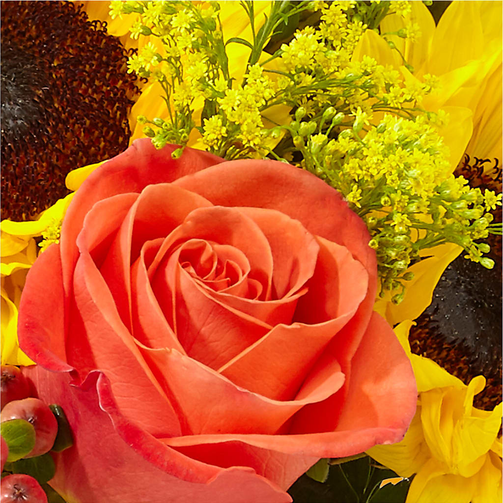 Pick of the Patch Pumpkin Bouquet –  Towne Florist, Lumberton NC