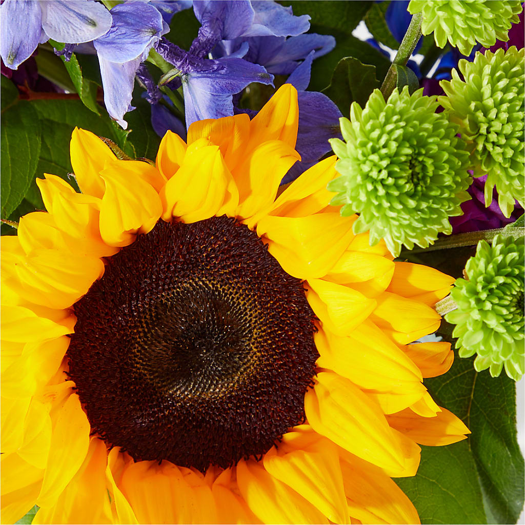 Catching Rays Bouquet –  Towne Florist, Lumberton NC