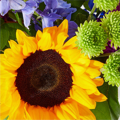 Catching Rays Bouquet –  Towne Florist, Lumberton NC