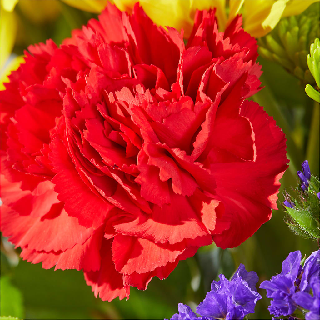 Brighter Days Bouquet –  Towne Florist, Lumberton NC