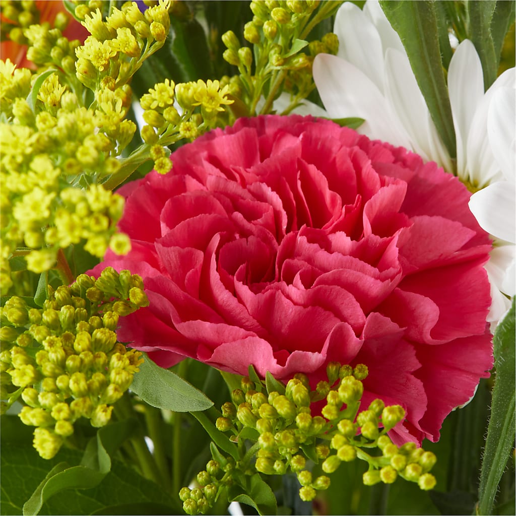 Oopsie Daisy Bouquet –  Towne Florist, Lumberton NC