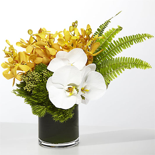 The Tropics –  Towne Florist, Lumberton NC