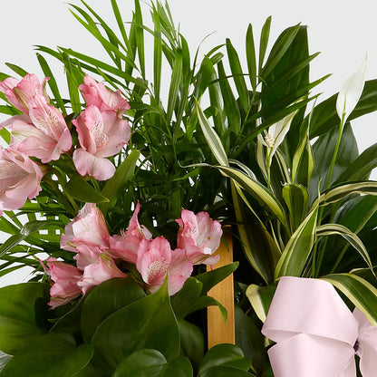 Living Spirit Dishgarden –  Towne Florist, Lumberton NC