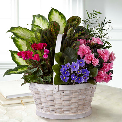 Peaceful Garden Planter –  Towne Florist, Lumberton NC