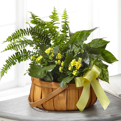 Always Dear Dishgarden –  Towne Florist, Lumberton NC