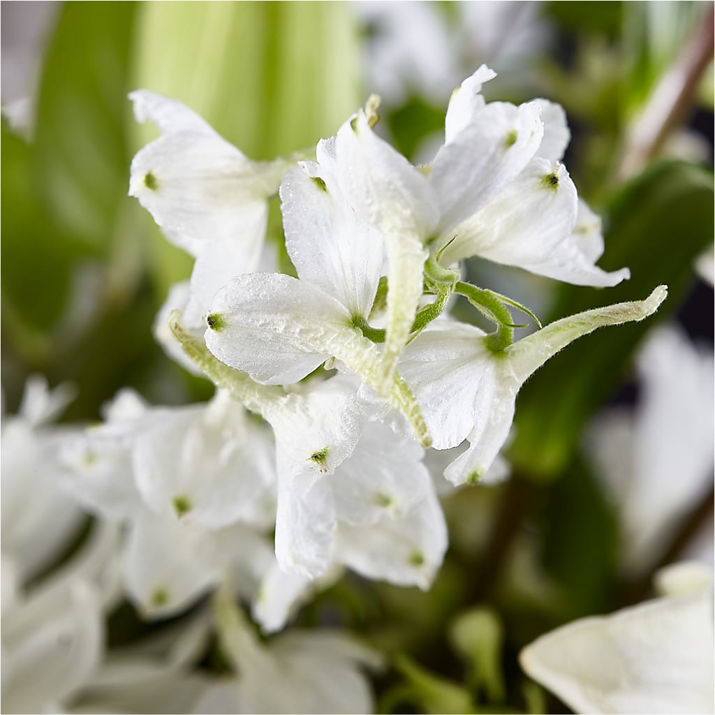 Classic Ivory – A Florist Original –  Towne Florist, Lumberton NC