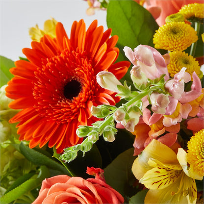 Autumn Sunshine Bouquet –  Towne Florist, Lumberton NC