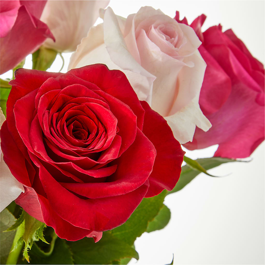 Charming Rose Bouquet –  Towne Florist, Lumberton NC