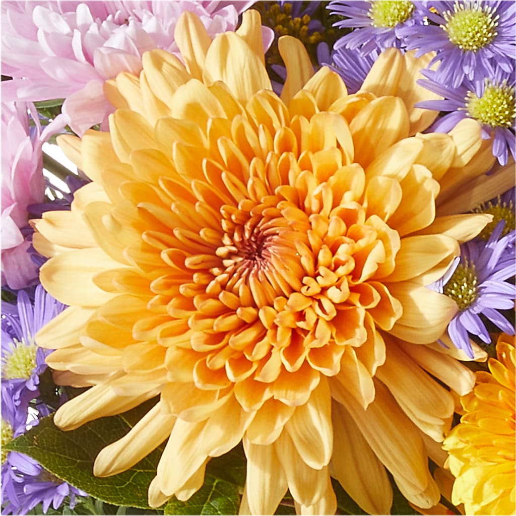 Countryside Bouquet –  Towne Florist, Lumberton NC