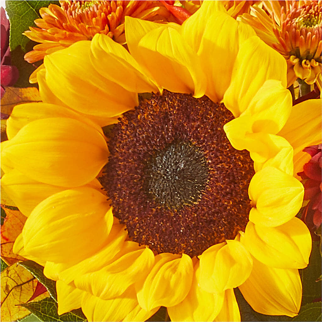 Sunny Side Bouquet –  Towne Florist, Lumberton NC