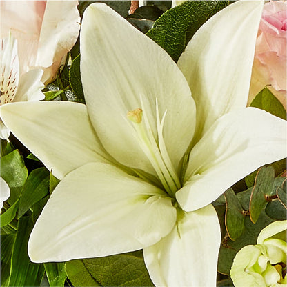 Ballet Slippers Bouquet –  Towne Florist, Lumberton NC