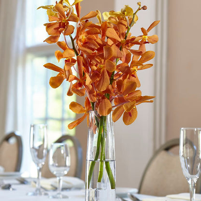 Orange Mokara Bud Vase –  Towne Florist, Lumberton NC