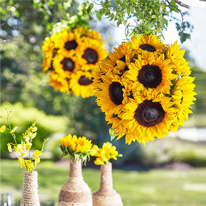 Sublime Garden Hanging Arrangement –  Towne Florist, Lumberton NC