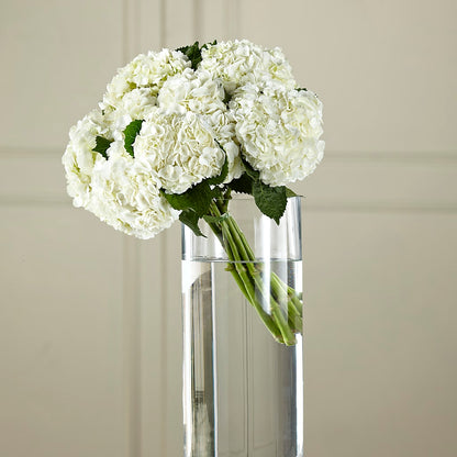 White Hydrangea Hand-Tied Bouquet –  Towne Florist, Lumberton NC