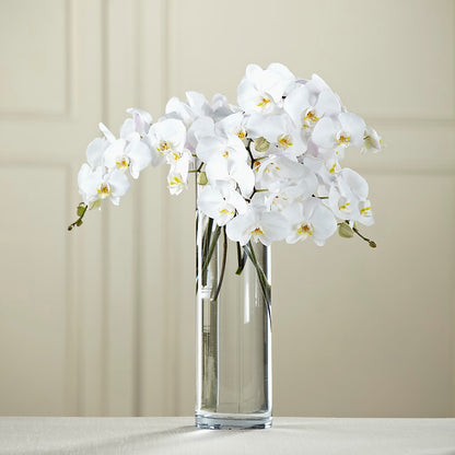 White Phalaenopsis Bouquet –  Towne Florist, Lumberton NC