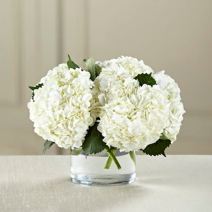 White Hydrangea Bouquet –  Towne Florist, Lumberton NC
